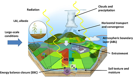 Significant Paper: A review of the remote sensing of lower tropospheric thermodynamic profiles and its indispensable role for the understanding and the simulation of water and energy cycles.